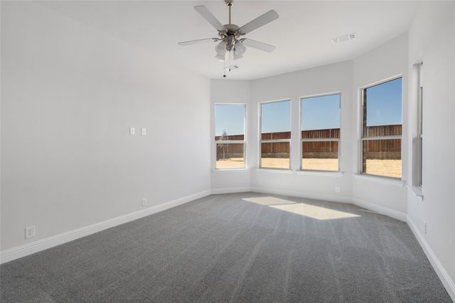 14517 Herschel Street, Pilot Point, TX 75009