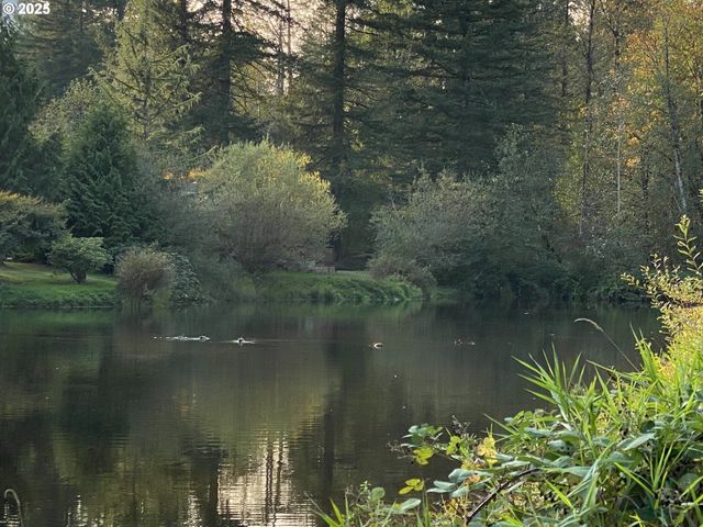 65000 E HIGHWAY 26 WFB50, Welches, OR 97067