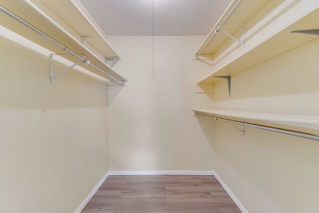719 Leading Lane, Allen, TX 75002