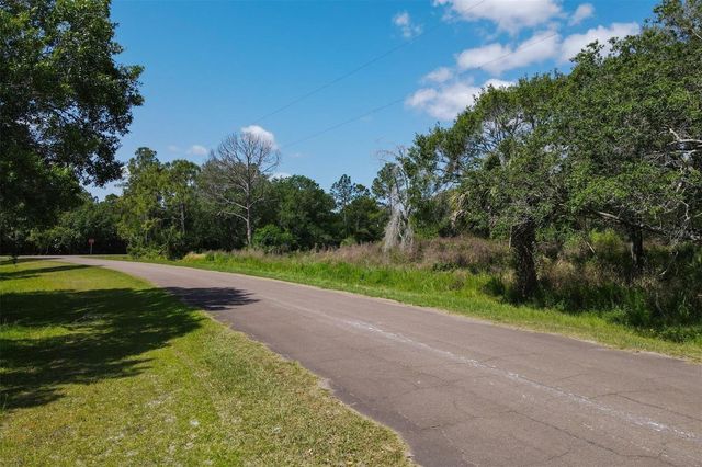 1729 SHENANDOAH ROAD, Wimauma, FL 33598