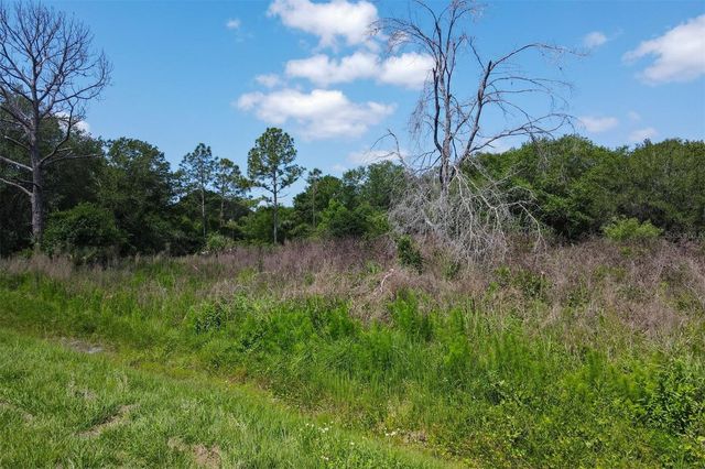 1729 SHENANDOAH ROAD, Wimauma, FL 33598