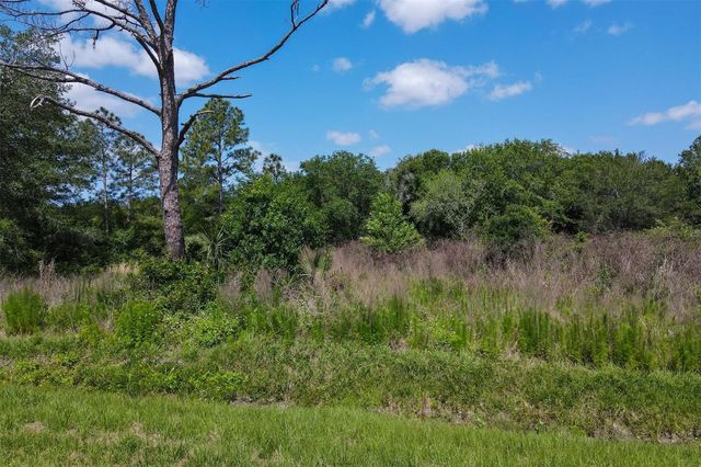 1729 SHENANDOAH ROAD, Wimauma, FL 33598