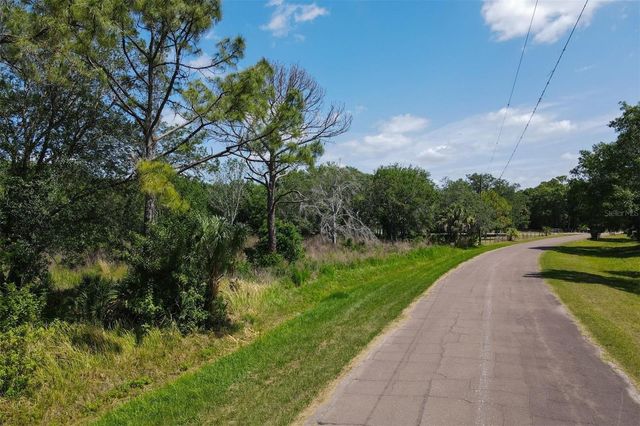 1729 SHENANDOAH ROAD, Wimauma, FL 33598