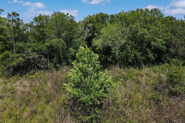 1729 SHENANDOAH ROAD, Wimauma, FL 33598