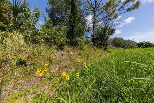 1729 SHENANDOAH ROAD, Wimauma, FL 33598