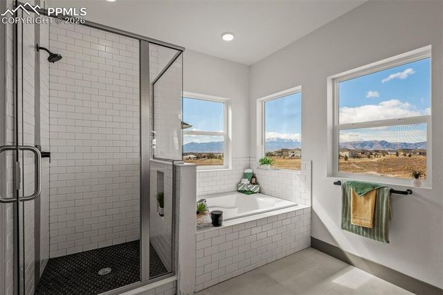 8980 Frolic View, Colorado Springs, CO 80924