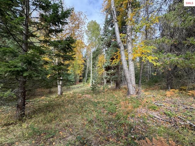 NNA Rascals Rd, Sandpoint, ID 83864 property photo