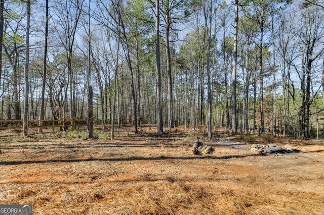 132 Pinnacle Way, Carrollton, GA 30117