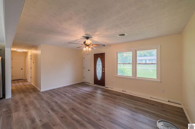 316 Loretta Dr, Ledbetter, KY 42058