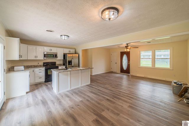 316 Loretta Dr, Ledbetter, KY 42058