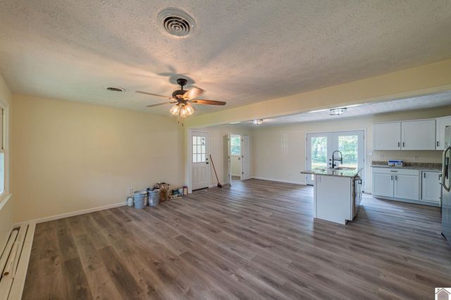 316 Loretta Dr, Ledbetter, KY 42058