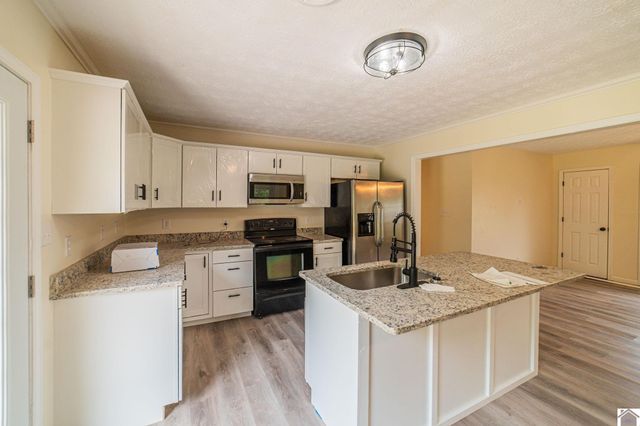 316 Loretta Dr, Ledbetter, KY 42058