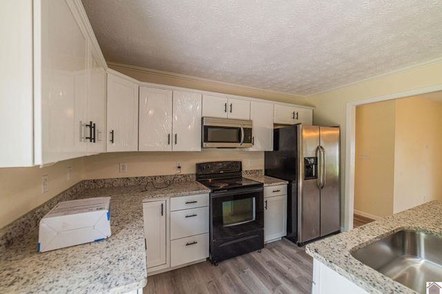 316 Loretta Dr, Ledbetter, KY 42058