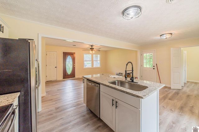 316 Loretta Dr, Ledbetter, KY 42058