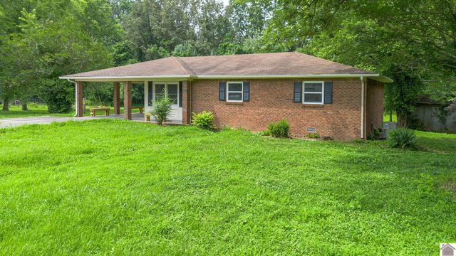 316 Loretta Dr, Ledbetter, KY 42058