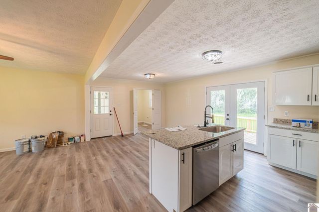 316 Loretta Dr, Ledbetter, KY 42058