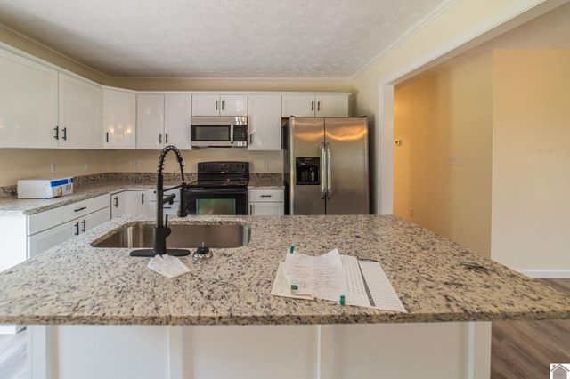 316 Loretta Dr, Ledbetter, KY 42058