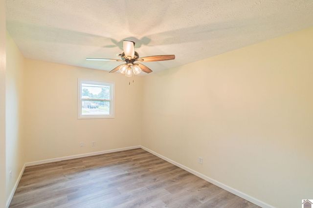 316 Loretta Dr, Ledbetter, KY 42058