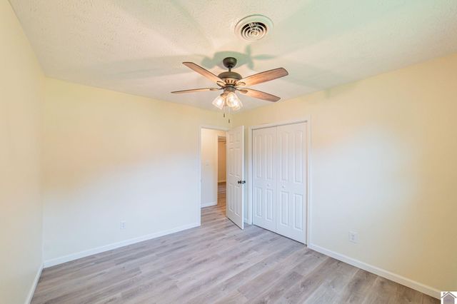 316 Loretta Dr, Ledbetter, KY 42058