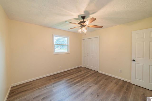 316 Loretta Dr, Ledbetter, KY 42058