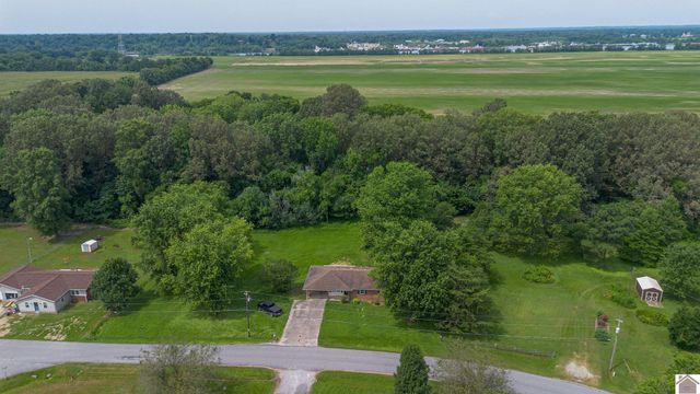 316 Loretta Dr, Ledbetter, KY 42058