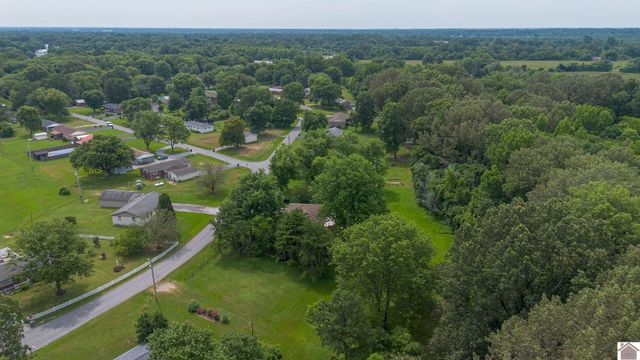 316 Loretta Dr, Ledbetter, KY 42058