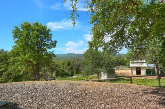 32028 Cattle Way, Coarsegold, CA 93614