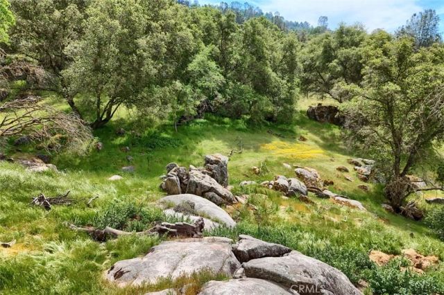 32028 Cattle Way, Coarsegold, CA 93614