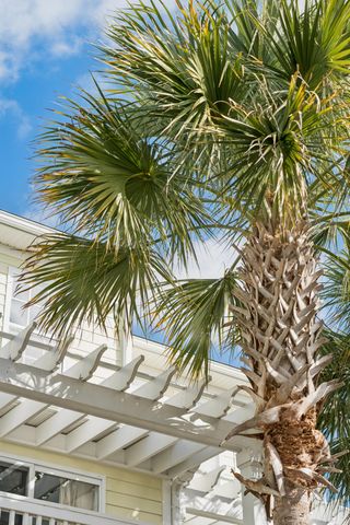 3012 Sugarberry Lane, Johns Island, SC 29455