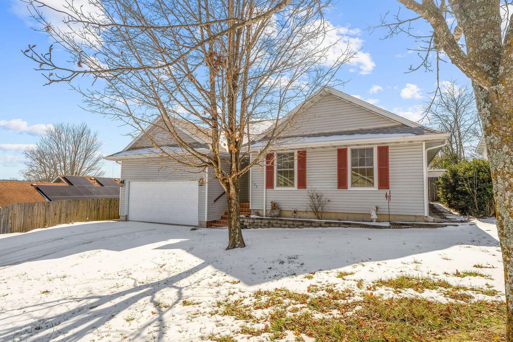 123 Primrose Lane, Branson, MO 65616