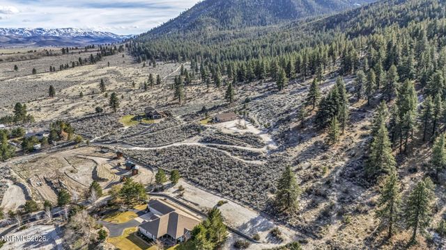 466 Horsethief Circle, Markleeville, CA 96120