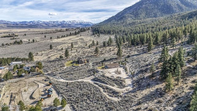 466 Horsethief Circle, Markleeville, CA 96120