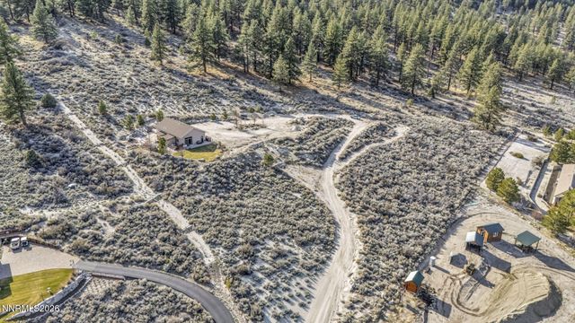466 Horsethief Circle, Markleeville, CA 96120