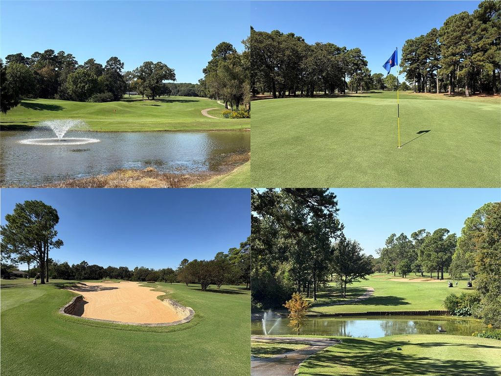 1743 Barbara Court, Hideaway, TX 75771