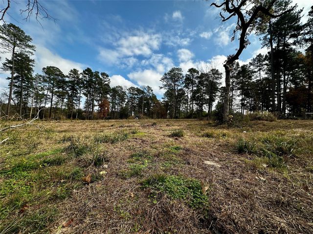 15238 Crape Myrtle Lane, Navasota, TX 77868