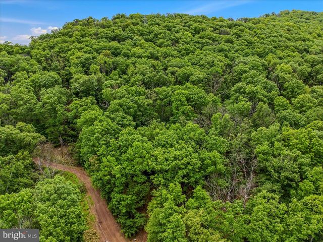 98 ORE TRL, Berkeley Springs, WV 25411