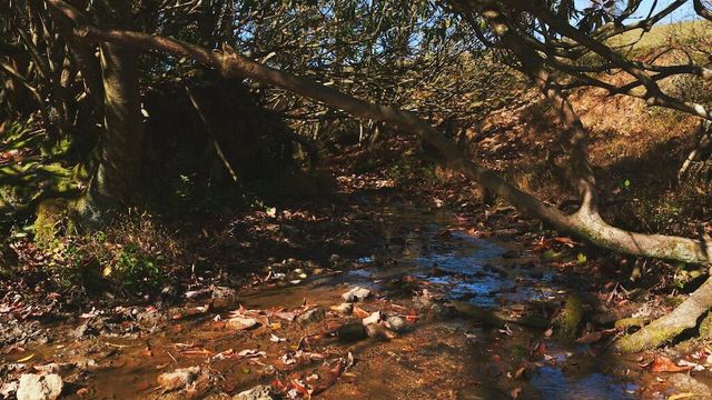 2038 Pilot View DR, Hillsville, VA 24343