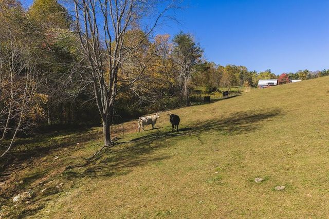 2038 Pilot View DR, Hillsville, VA 24343