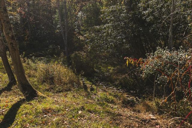 2038 Pilot View DR, Hillsville, VA 24343