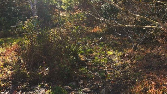 2038 Pilot View DR, Hillsville, VA 24343