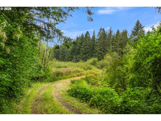 3832 Ne CAVITT Rd, Camas, WA 98607