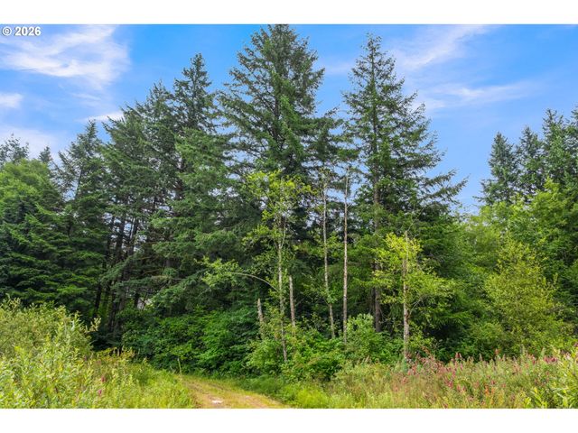 3832 Ne CAVITT Rd, Camas, WA 98607