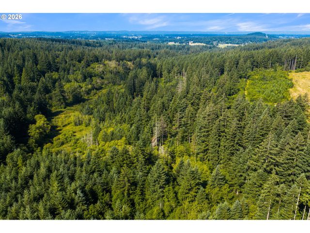 3832 Ne CAVITT Rd, Camas, WA 98607
