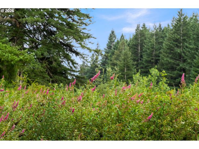 3832 Ne CAVITT Rd, Camas, WA 98607
