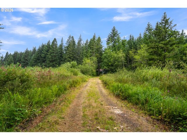 3832 Ne CAVITT Rd, Camas, WA 98607