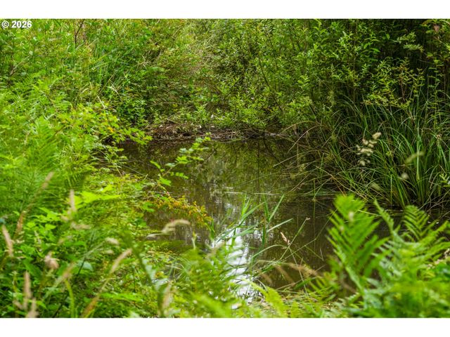 3832 Ne CAVITT Rd, Camas, WA 98607