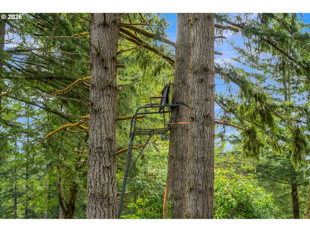 3832 Ne CAVITT Rd, Camas, WA 98607