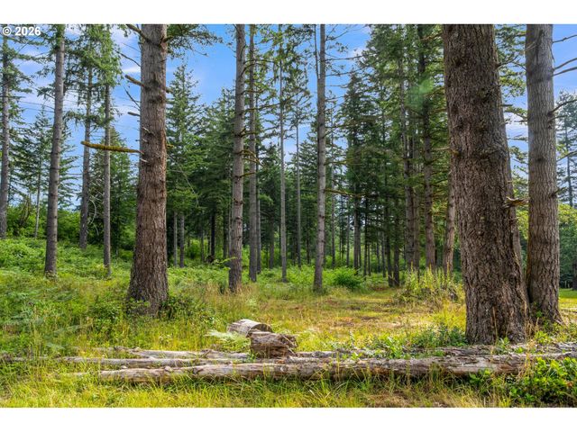3832 Ne CAVITT Rd, Camas, WA 98607