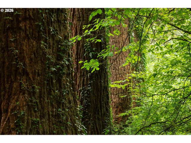 3832 Ne CAVITT Rd, Camas, WA 98607