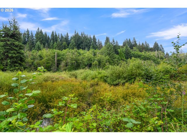 3832 Ne CAVITT Rd, Camas, WA 98607
